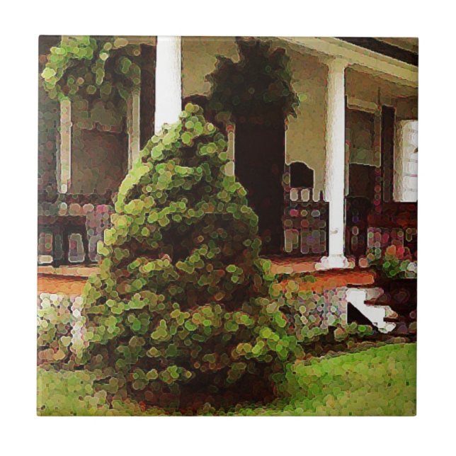 Portão frontal (Frente)