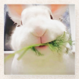 Portas copos de coelho da Páscoa