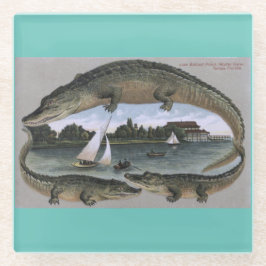 portas copos Vintage Florida Gators. Alligadores T