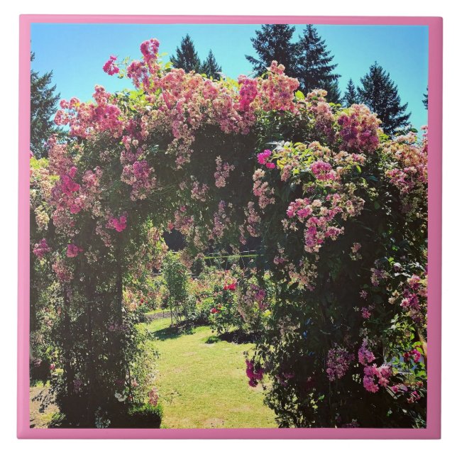 Portland Rosa Garden, OR (Frente)