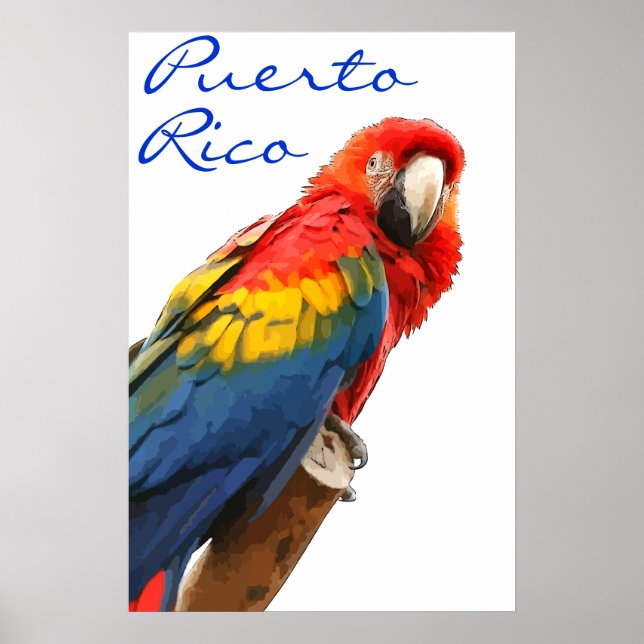 Porto Rico Scarlet Macaw Poster (Frente)