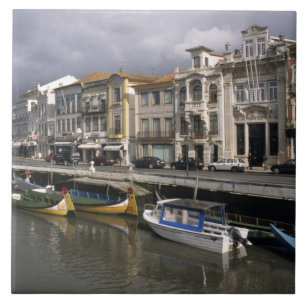 Portugal, Aveiro. Moliceiros (coleta de algas mari