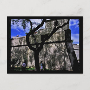 (Portugal) Funchal, cartão postal Madeira