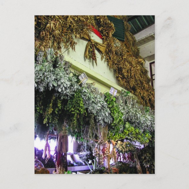 (Portugal) no Cartão Postal do Mercado Funchal (Frente)