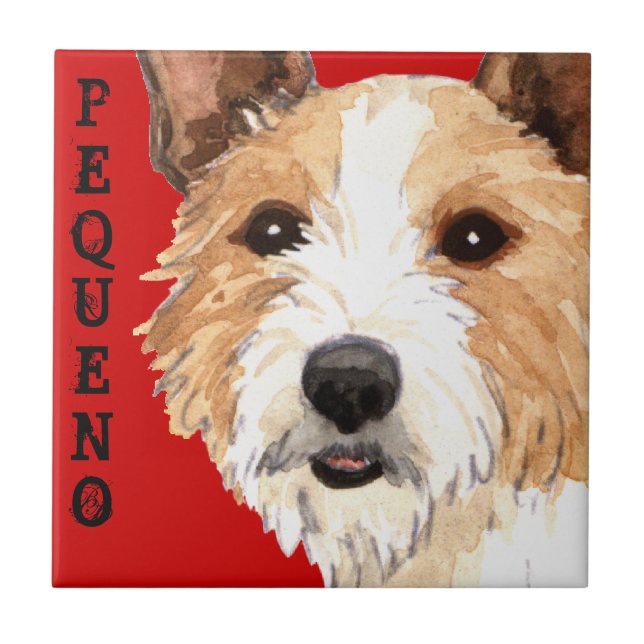 Português Podengo Pequeno (Frente)