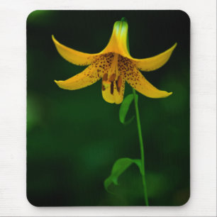 Pose Mousepad Estrela