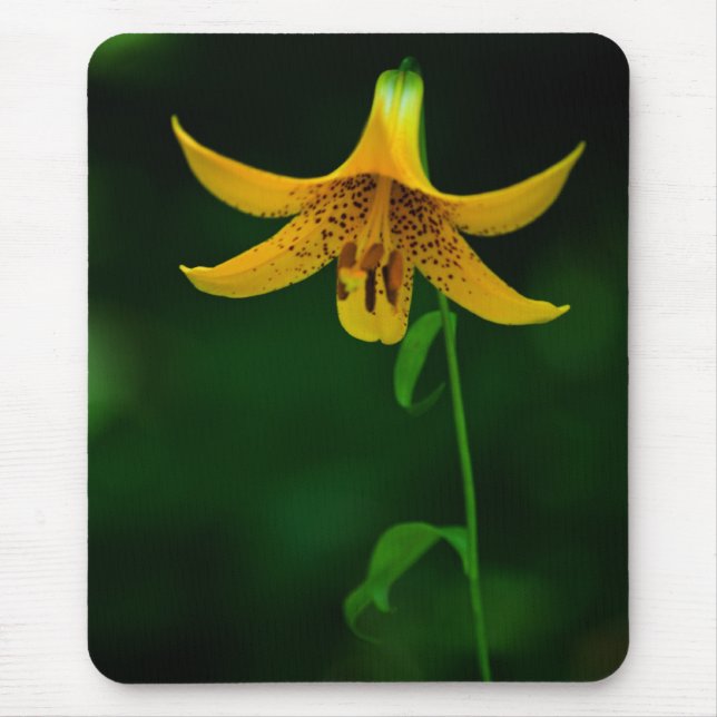 Pose Mousepad Estrela (Frente)