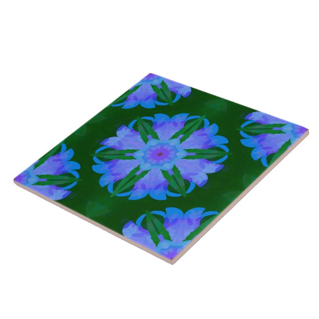 Posições Bluebell (Lateral)
