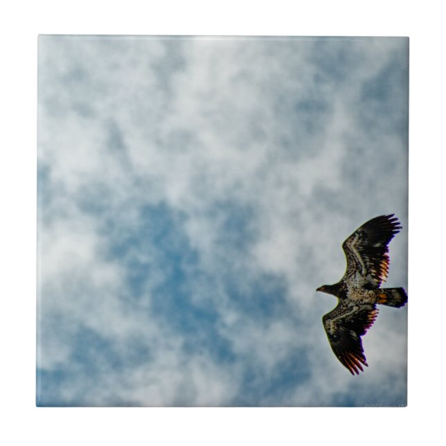 Possibilidades futuras (Frente)