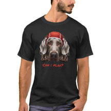 Posso fazer um Polo de Água / UWH / Cão UWR