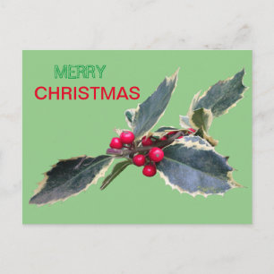 Postal A Holly Europeia Feliz Peste De Natal. Cartão Pos