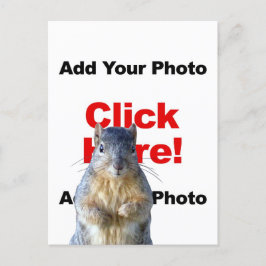 Postal Adicionar um Esquilo Personalizado Foto Cartão Pos