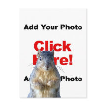 Adicionar um Esquilo Personalizado Foto Cartão Pos