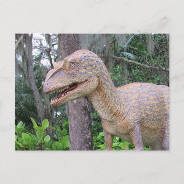 Postal Allosaurus - Dinossauro - Cartão de Aprendizagem (Frente)