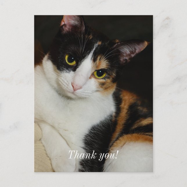 Postal Apenas Pendurado Por Aqui Cartão de Agradecimento (Frente)