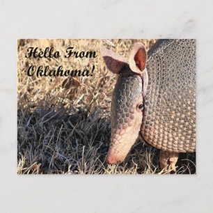 Postal Armadillo Hello Do Cartão De Posto De Oklahoma