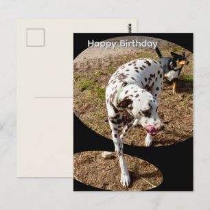 Postal Arte de Dalmatas Saltando, Cartão de Aniversário