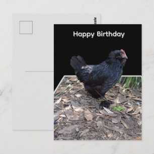 Postal Arte Pop Out de Frango Preto, Cartão de Aniversári