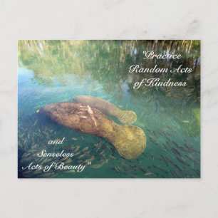 Postal Atos Aleatórios de Bondade Cartão Postal- Manatee