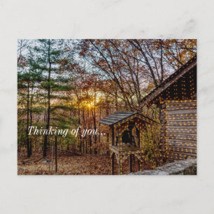 Postal Autumn Woods Sunset Pensando Em Você Cartão Post
