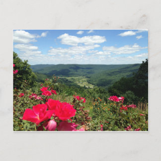 Postal Beersheba salta cartão