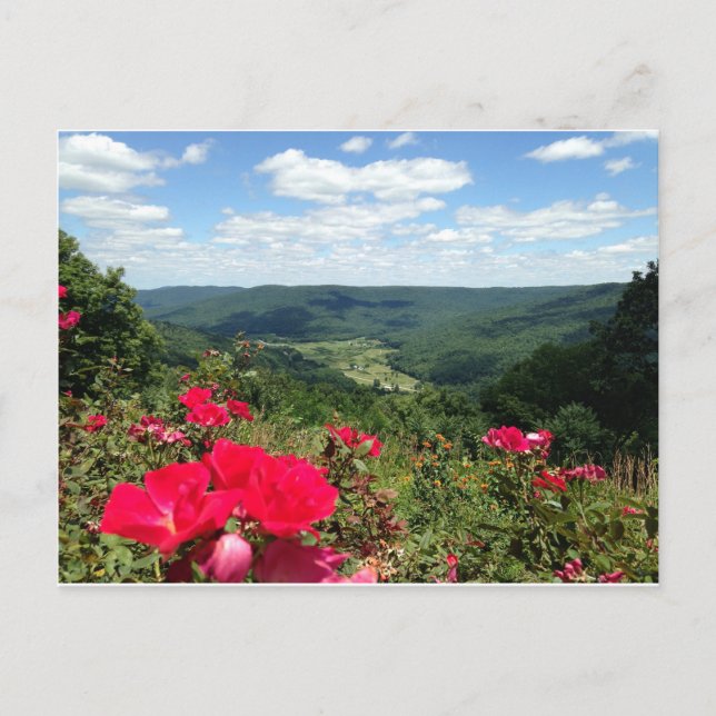 Postal Beersheba salta cartão (Frente)