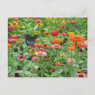 Postal Beersheba salta cartão