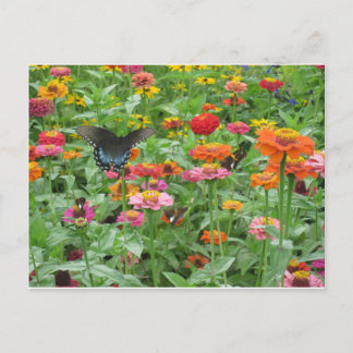 Postal Beersheba salta cartão