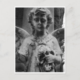 Postal Beleza meteorológica, cartão de gabinete