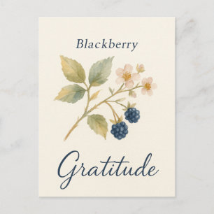 Postal Blackberry — Cartão de Gratidão