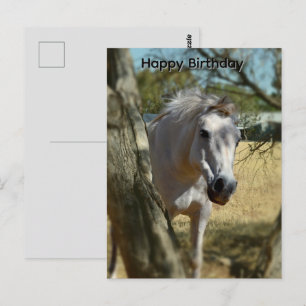 Postal Branca de Neve O Cavalo, Cartão de Aniversário