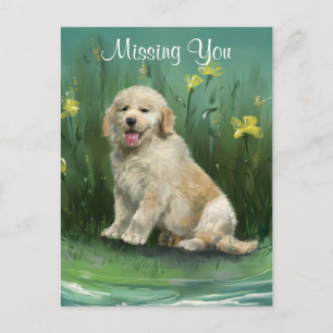 Postal Cachorrinho Retriever Golden Missing You Cartão Po