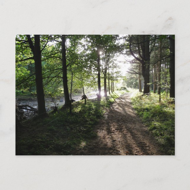 Postal "Caminhar Perto do Rio" Cartão de Posto Northumber (Frente)