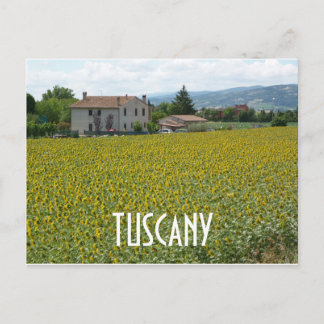 Postal Campo de Girassóis na Encosta da Toscana em Cartão