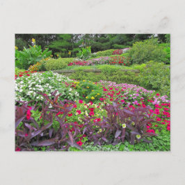 Postal Cartão #40N 040 da paisagem do SG