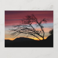 Cartão bonito do por do sol