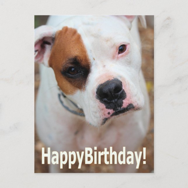 Postal Cartão Boop Birthday (Frente)