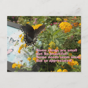 Postal cartão Butterfly pequeno mas apreciado