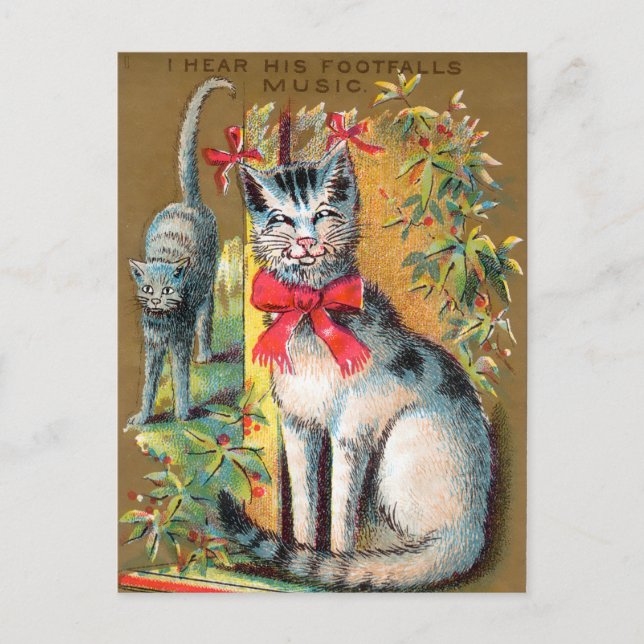 Postal Cartão Comercial de Frears Cat #1 (de 6) (Frente)