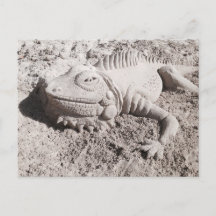 Cartão da escultura da areia da iguana