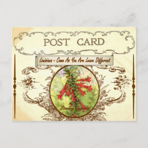 Postal Cartão da flor de estado de Louisiana do vintage