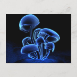 Postal Cartão da fluorescência