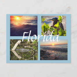 Postal Cartão da fotografia de Florida