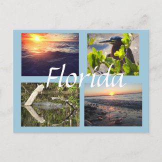 Postal Cartão da fotografia de Florida