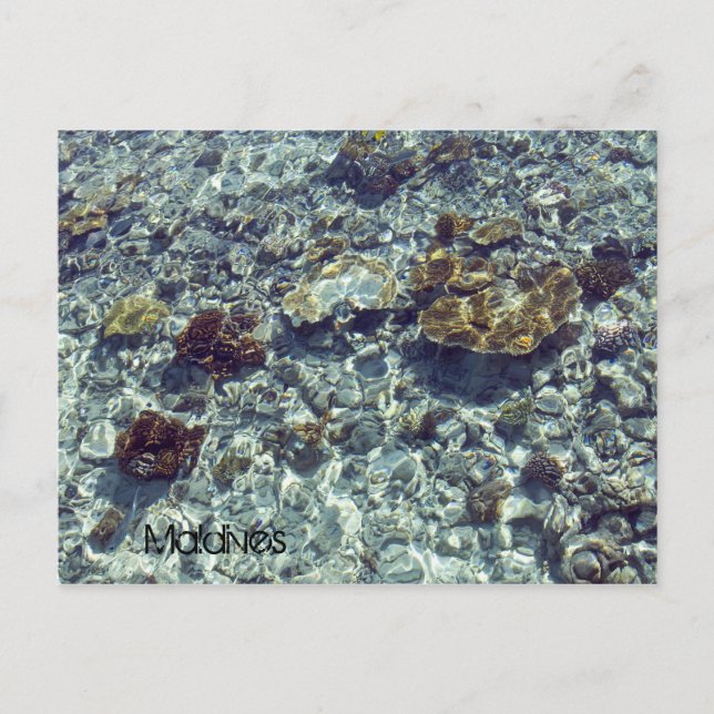 Postal Cartão da praia de Maldives (Frente)