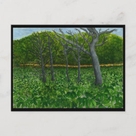 Postal Cartão da serenidade da montanha