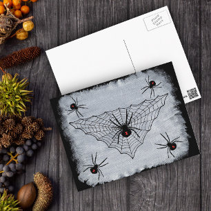 Postal Cartão da Web de aranha da viúva negra