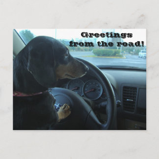 Postal Cartão Dachshund-Conduzido