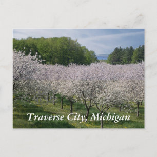 Postal Cartão das "flores de cerejeira"