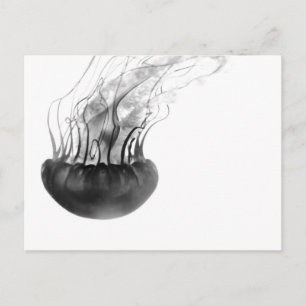 Postal Cartão das medusa (preto e branco)